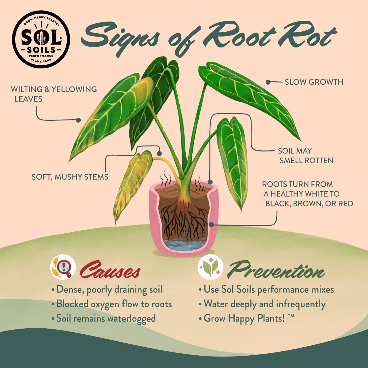 Soil (1Qt) Succulent Gritty Mix (Soilless)