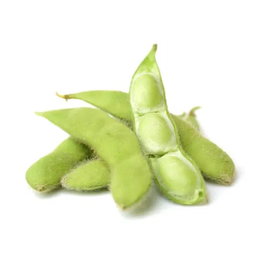 Bean, Soy Edamame, Seeds