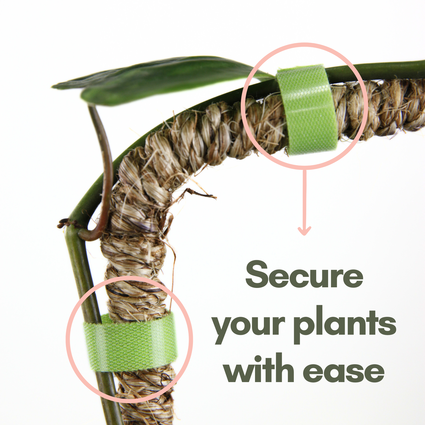 Reusable Plant Tape Pull Up & Support Indoor & Outdoor Plant