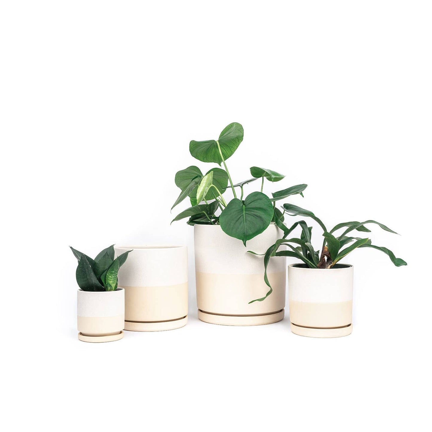 4.5" Gemstone Cylinder Pots with Water Saucers