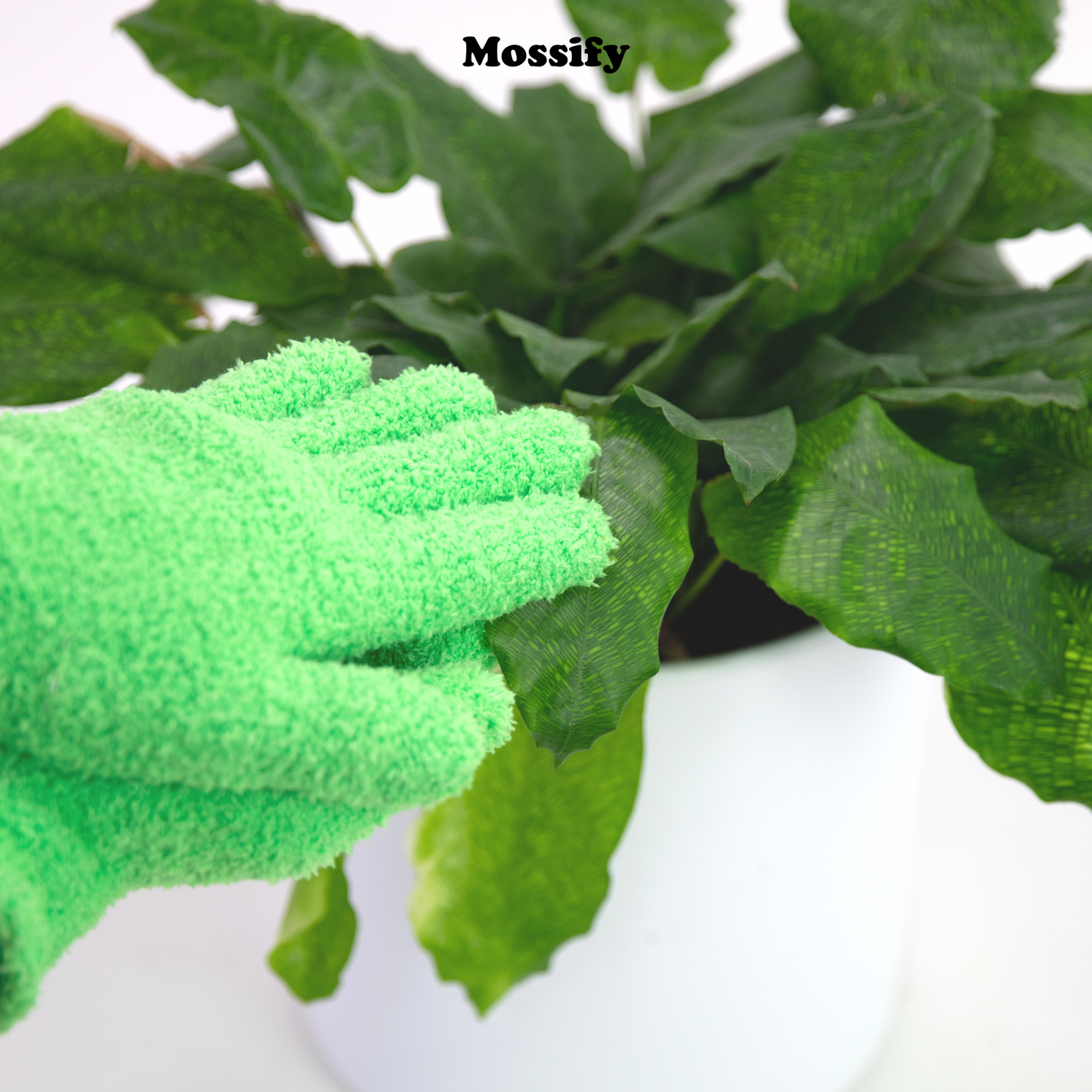 Microfiber Gloves – Reusable Leaf-Shining Gloves for Plant
