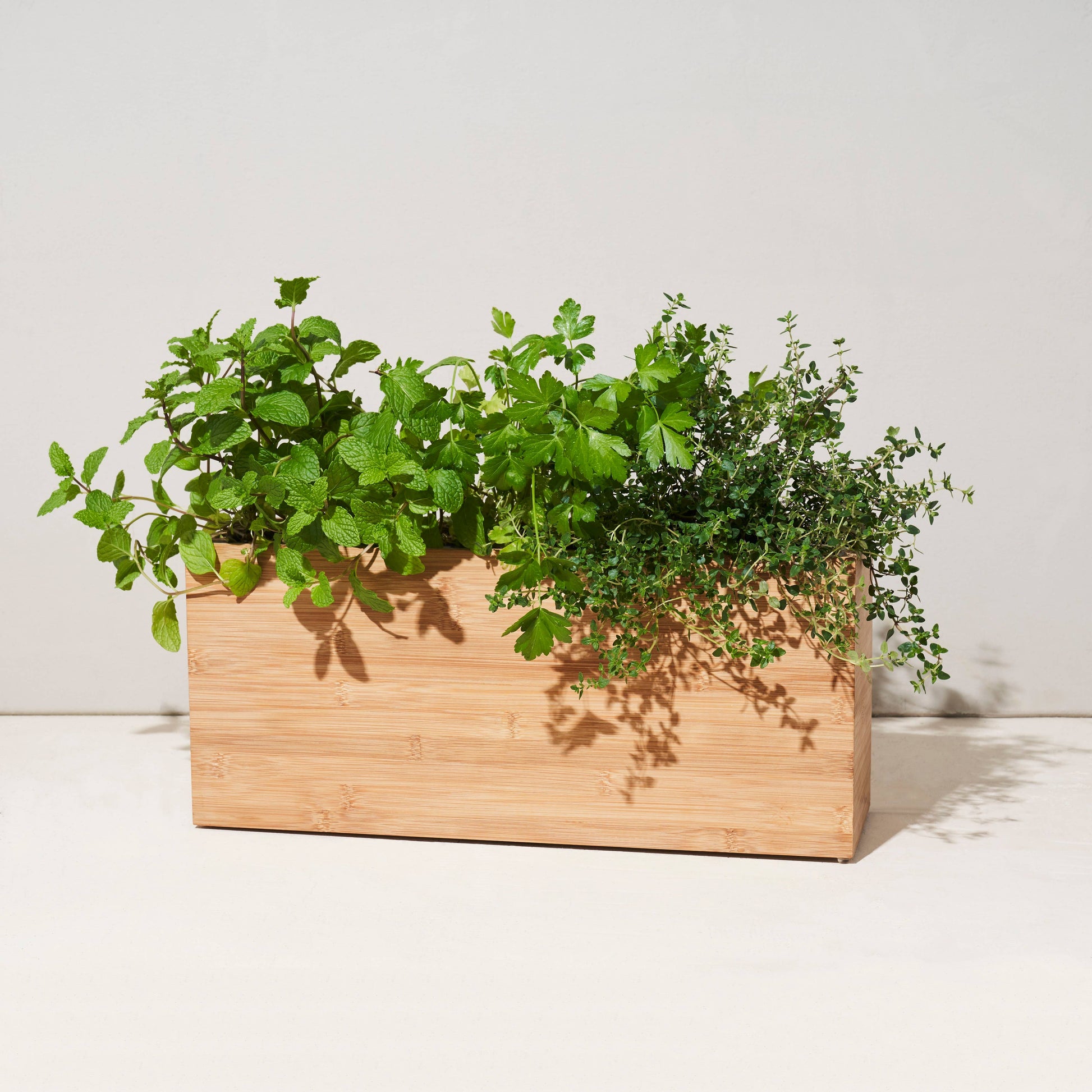 hydroponic planter box Hydroplanter