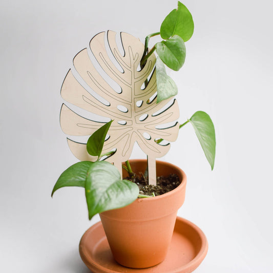 Monstera Leaf Trellis