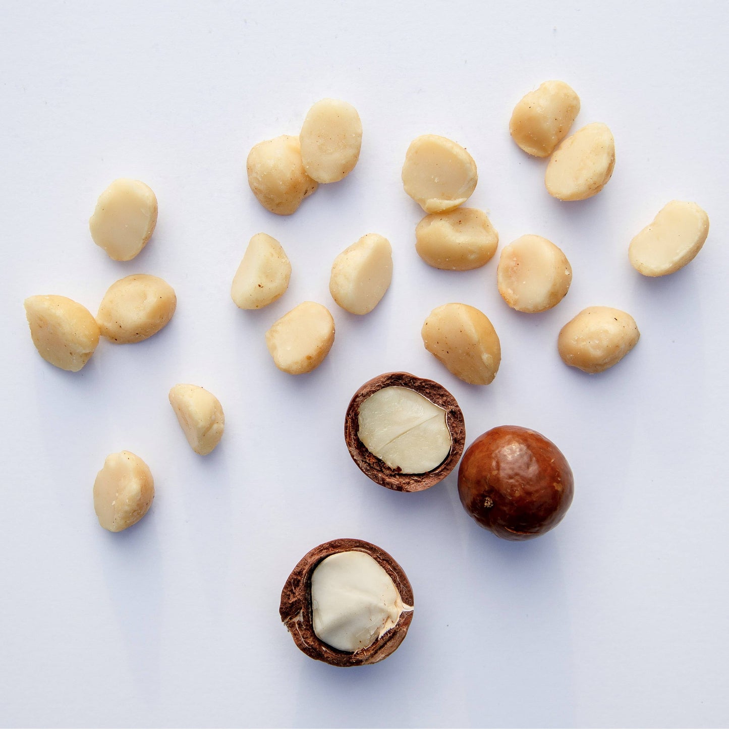 Organic Macadamias with Sea Salt (4oz)