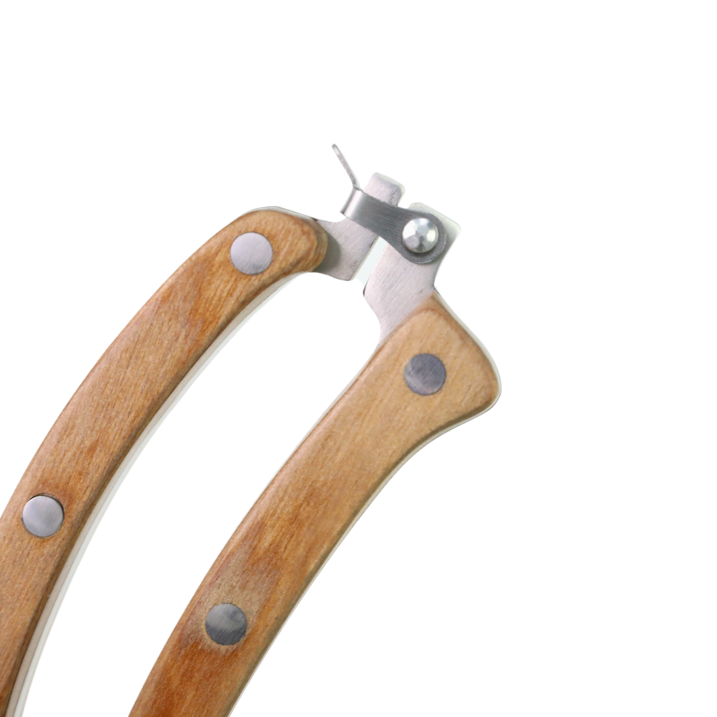Slim Garden Utility Shears – Precision Stainless Steel Blade