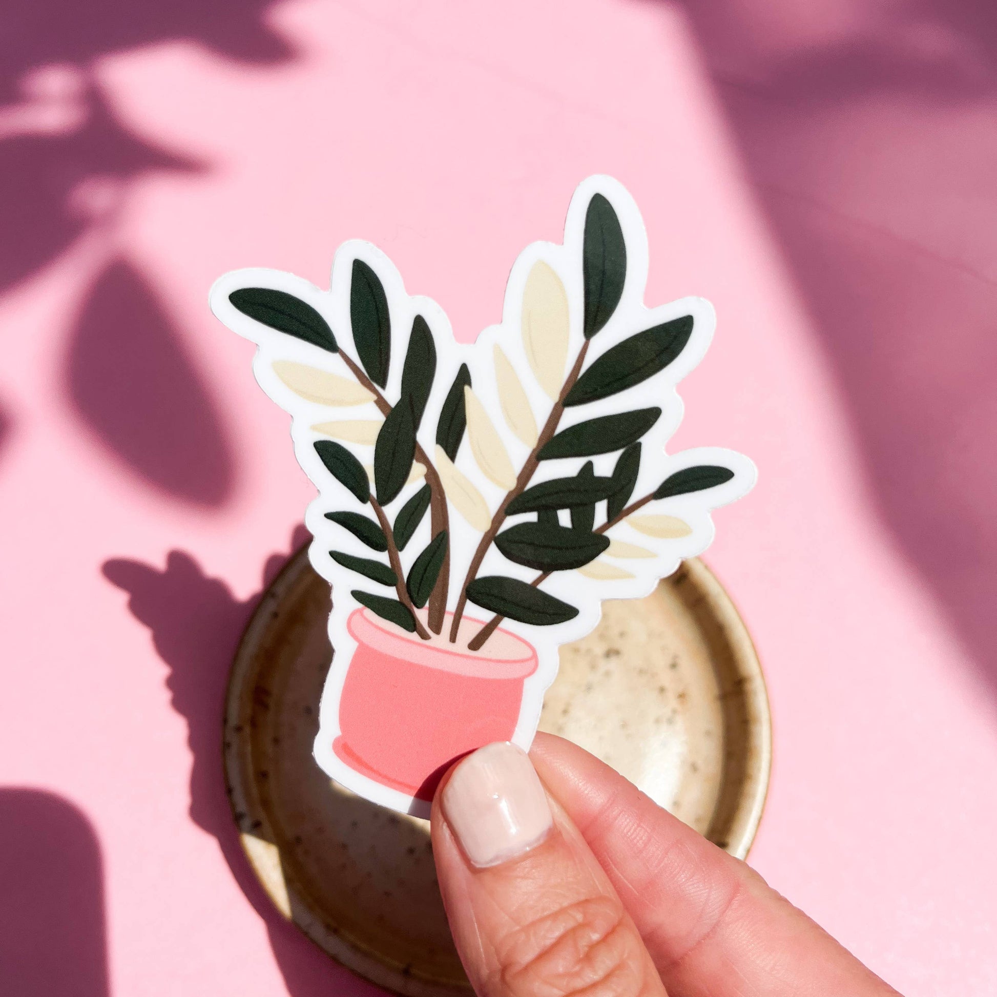 pink variegated zz plant Variegated ZZ Plant Sticker – Mari's Gardens