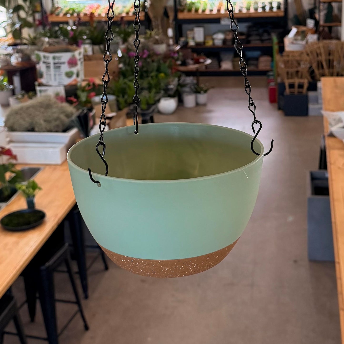 8" Self Watering Hanging Baskets
