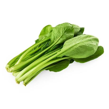 Komatsuna, Japanese Mustard Spinach, Seeds