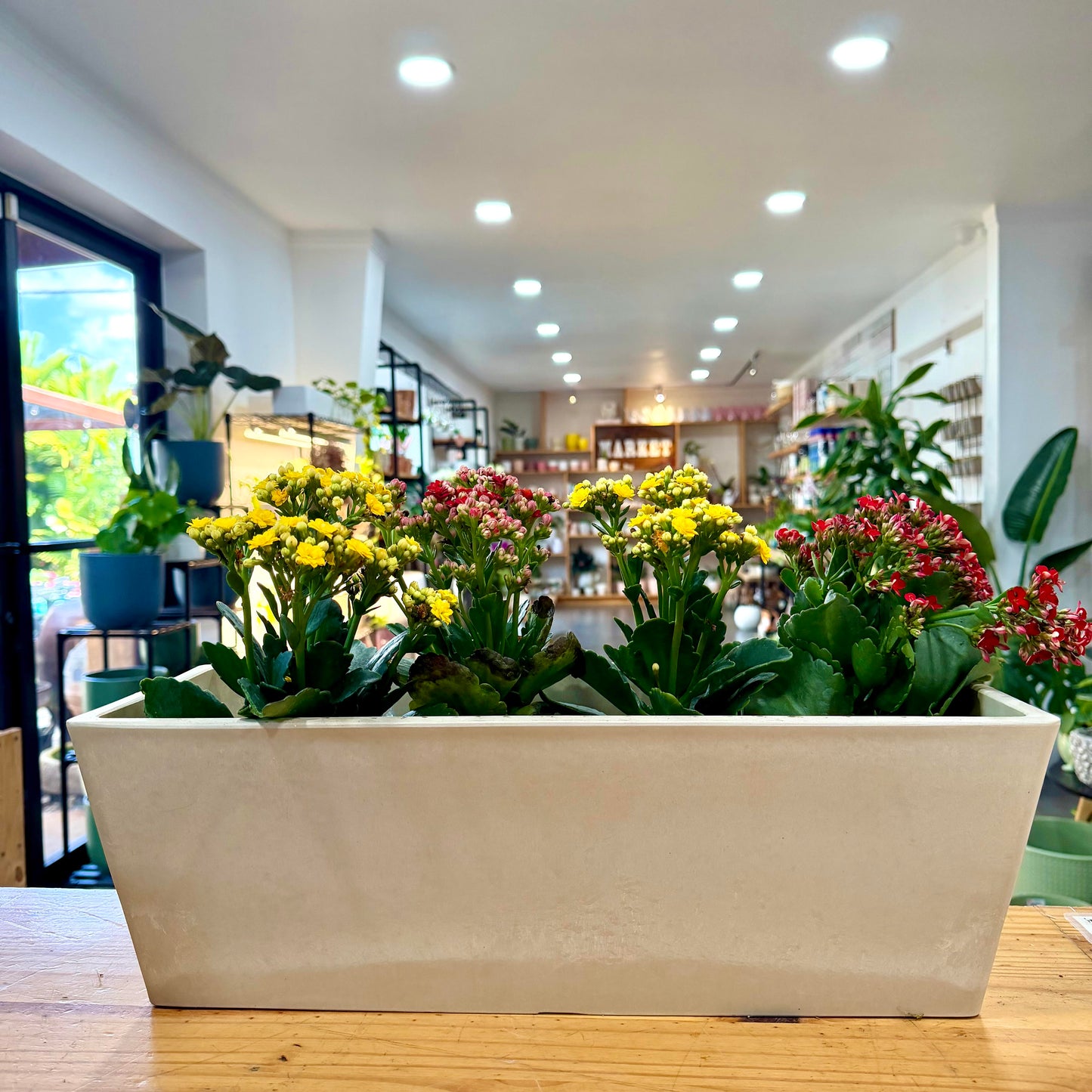 Lightweight Planters