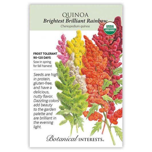 Brightest Brilliant Rainbow Quinoa