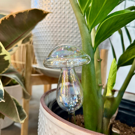 Self Watering - Glass Globes