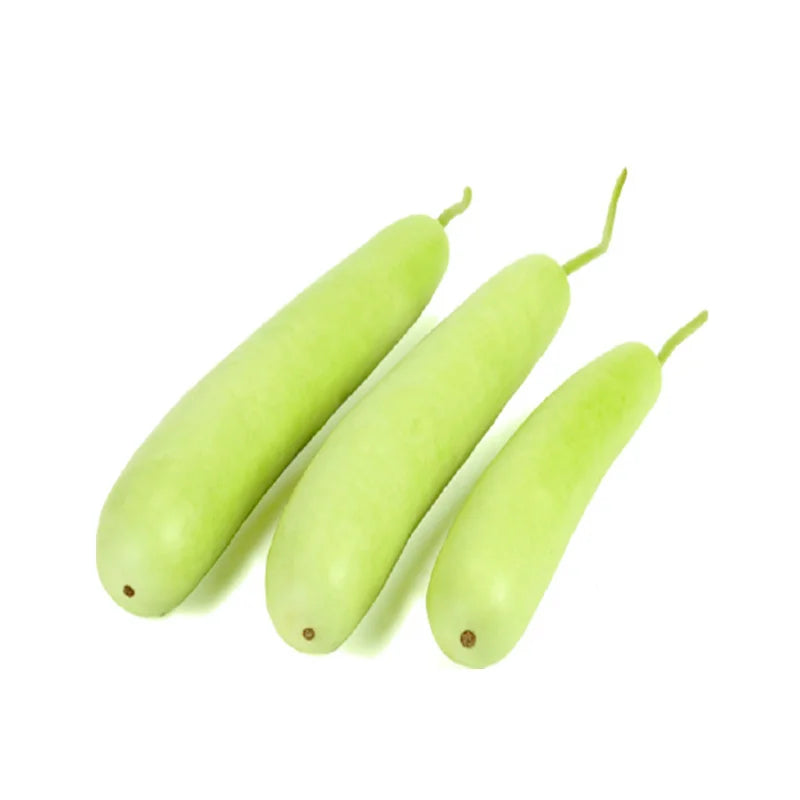 Gourd, Hyotan Short, Seeds