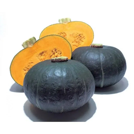 Squash, Kabocha Hyb. Furusato, Seeds