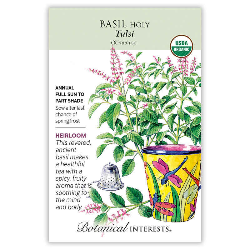 Basil seeds 'Holy/Tulsi'