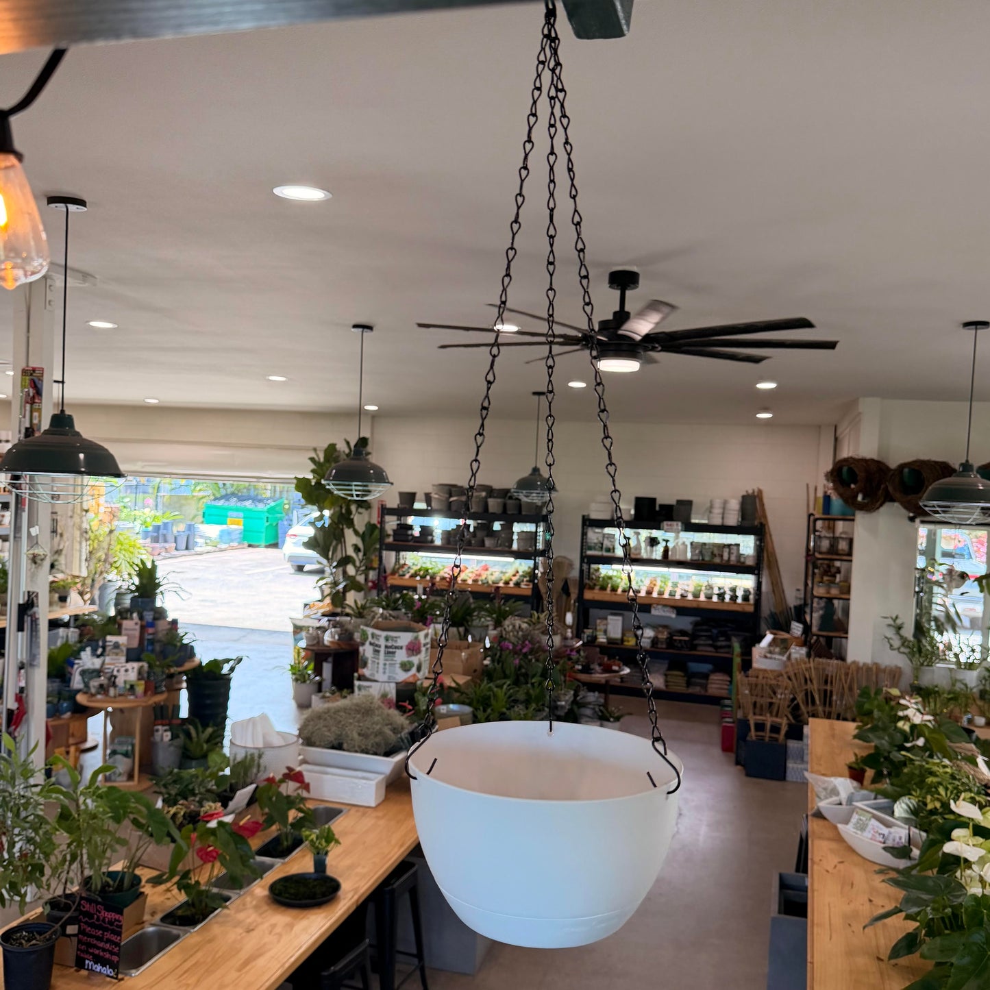 8" Self Watering Hanging Baskets