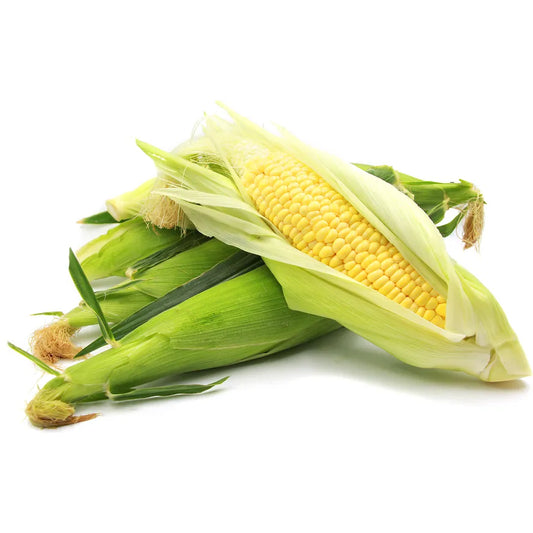 Corn, Yellow Honey Sweet, Seeds
