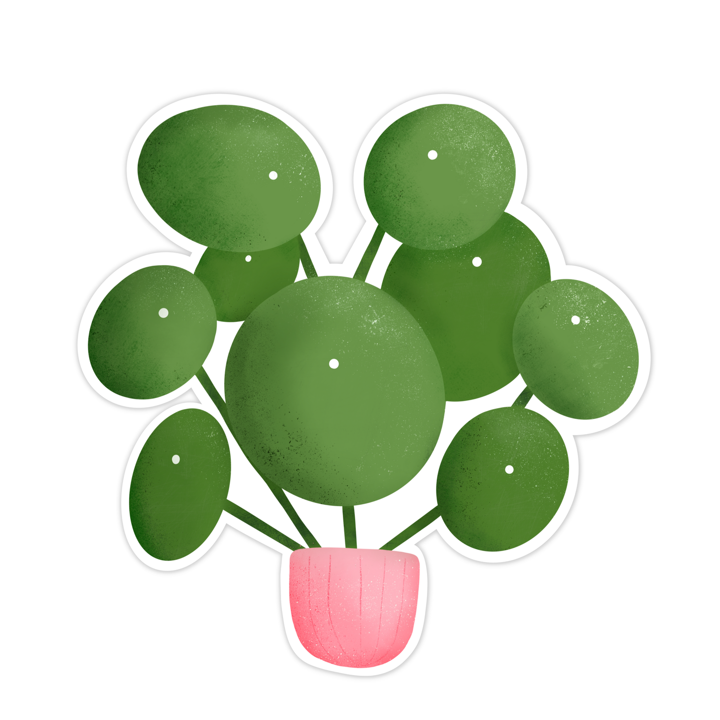 Pilea Peperomioides Plant Sticker