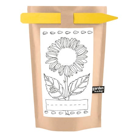 Kids Garden in a Bag | Mini Sunflower |