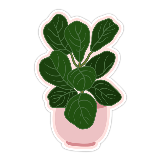 Fiddle Leaf Fig Plant Sticker