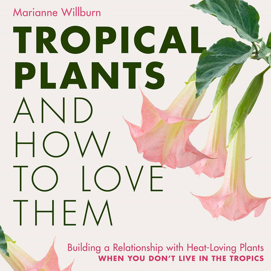 Tropical Plants and How to Love Them