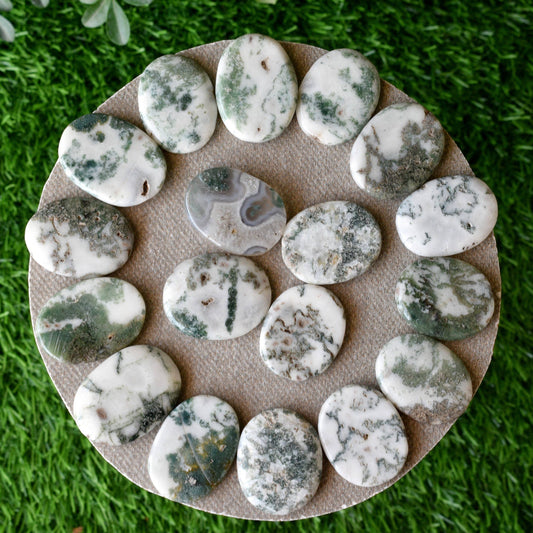 Polished Tree Agate Flat Stone