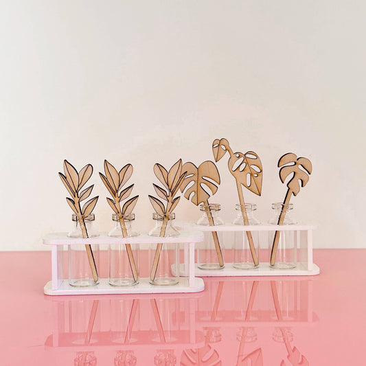 Tiny Plant Propagation Leaf Diffusers