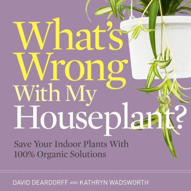 What's Wrong With My Houseplant?: Save Your Indoor Plants