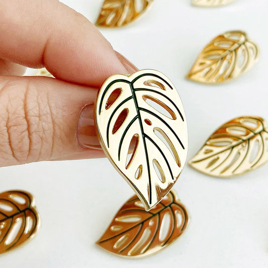 Swiss Cheese Monstera Adansonii Pin