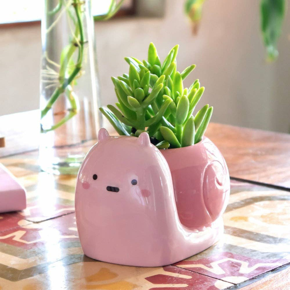 Snail Planter