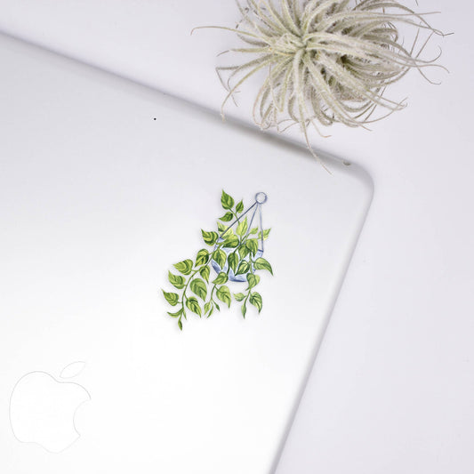 Golden Pothos Clear Sticker