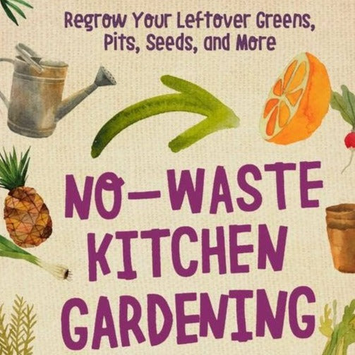 No-Waste Kitchen Gardening: Regrow Your Leftover Greens