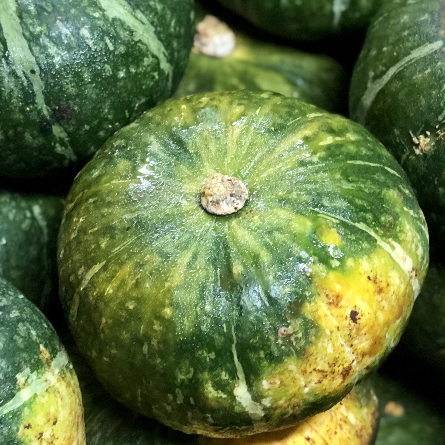 Produce – Mari's Gardens