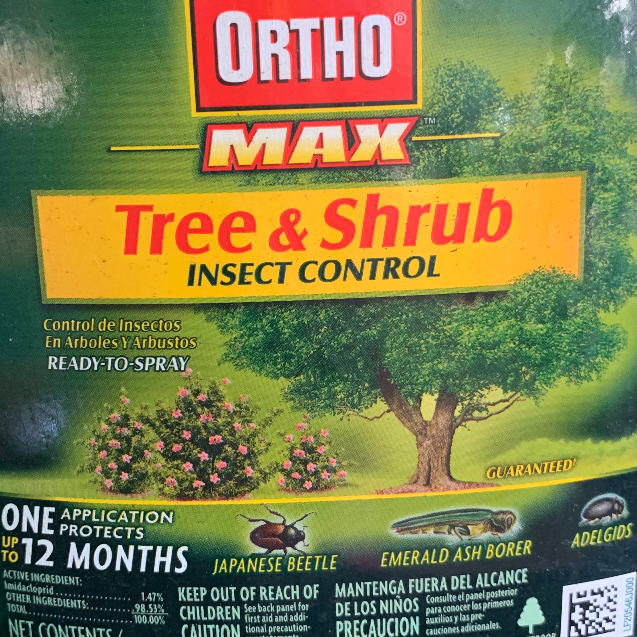 Ortho – Mari's Gardens