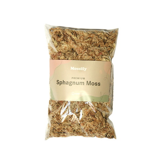 Mossify Sphagnum Moss