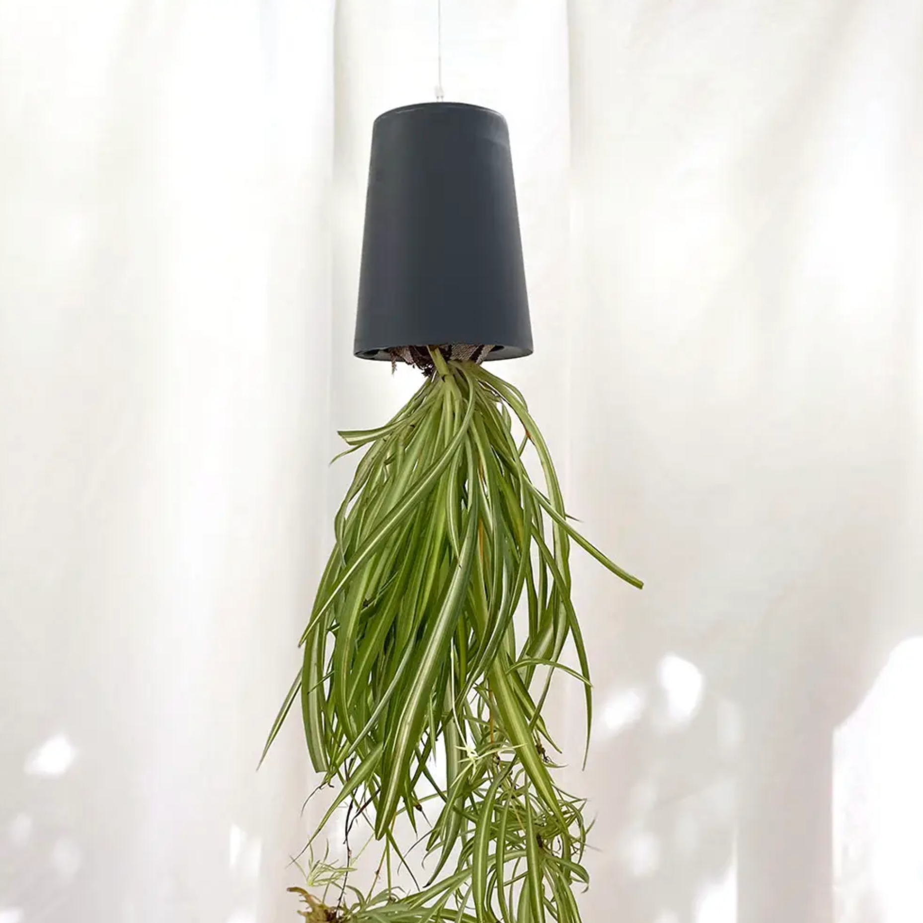 upside down hanging planter Sky Planter – Mari's Gardens