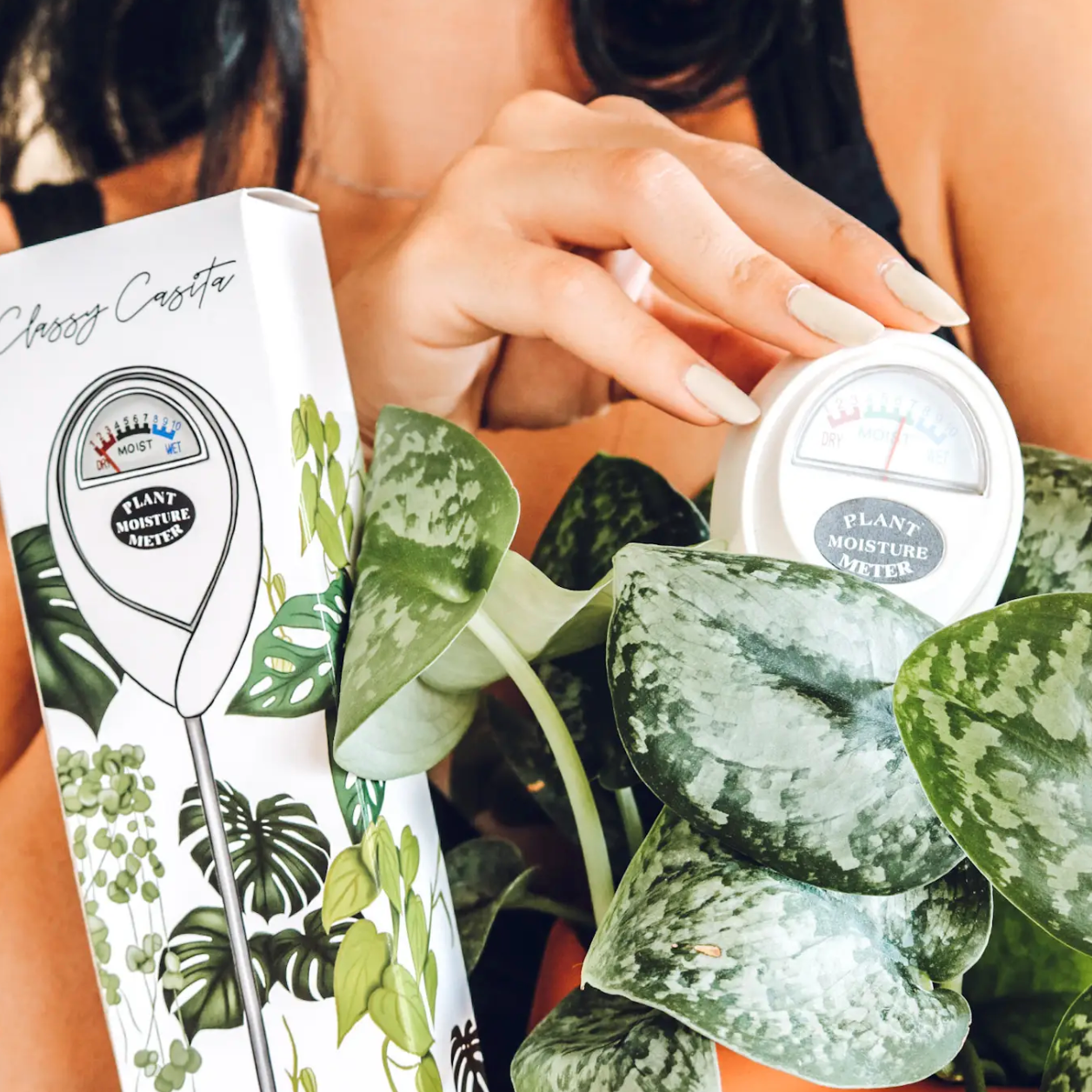 cannabis soil moisture meter level Plant Soil Tester
