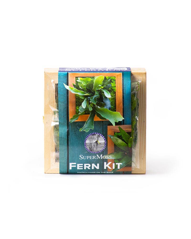 Staghorn Fern Kit