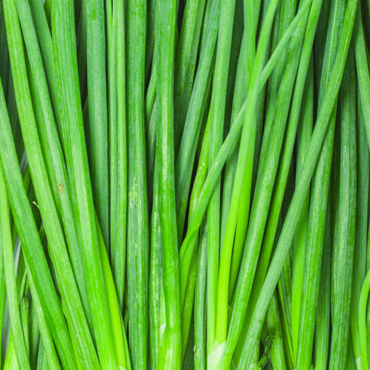 Green Onion
