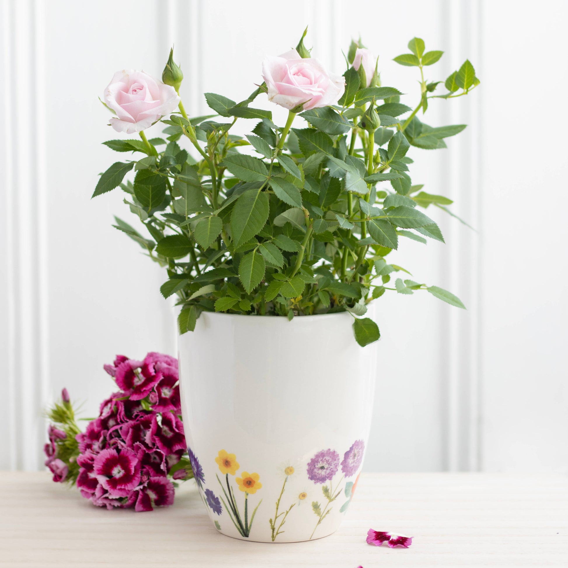 wildflower potted plants Wildflower Floral Ceramic Plant Pot