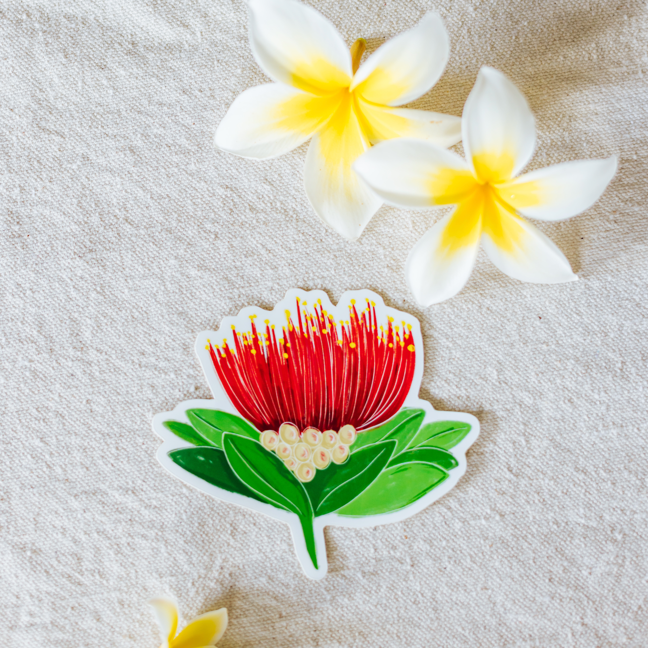 Lehua Blossom Sticker